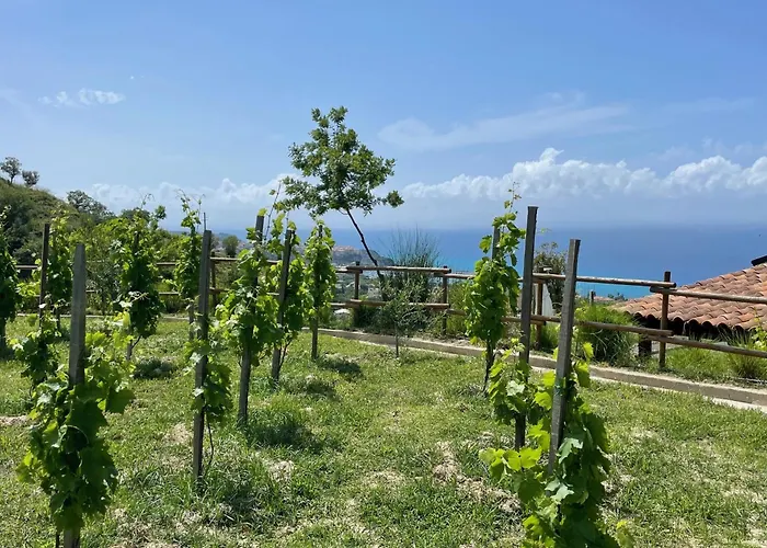 Casa Natura 40