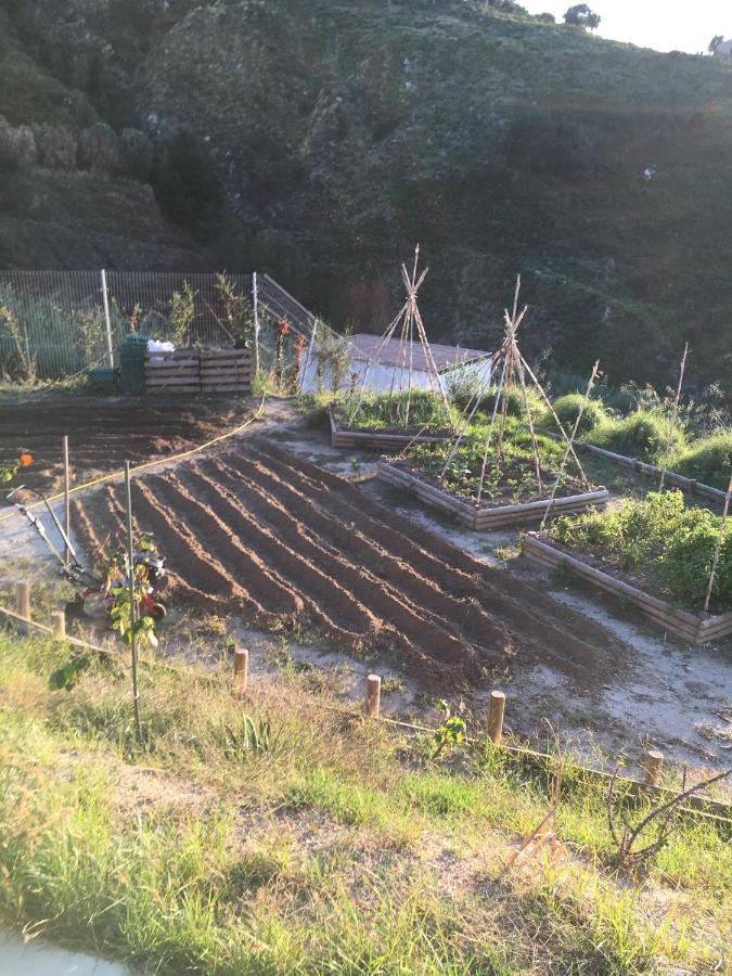 Bed and breakfast Casa Natura 40 Parghelia
