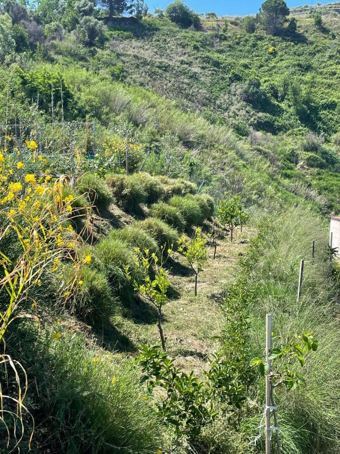 Casa Natura 40 Parghelia